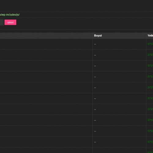 PHP Shell, Alfa Shell, b374k Shell, IndoXploit Shell, ASPX Shell ...